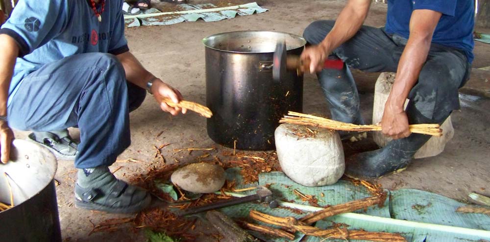 Preparando ayahuasca