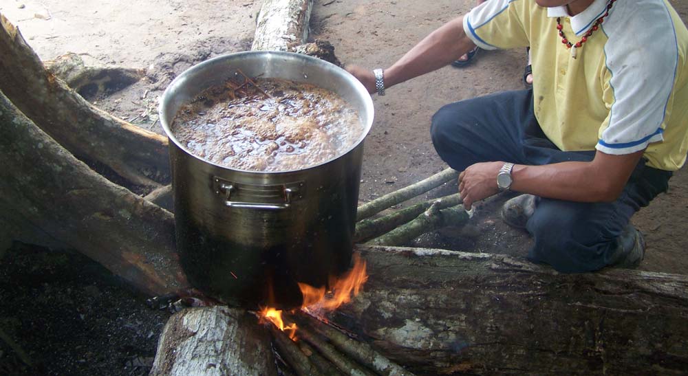 Preparando ayahuasca