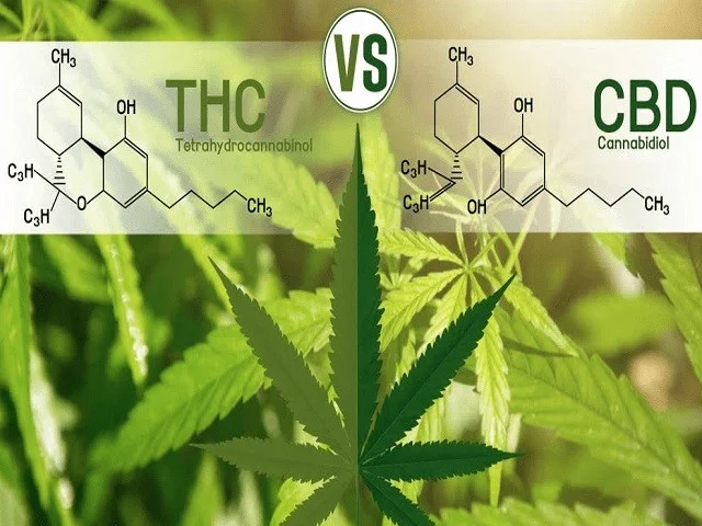Diferencia entre THC y CBD