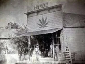 Historia del cannabis
