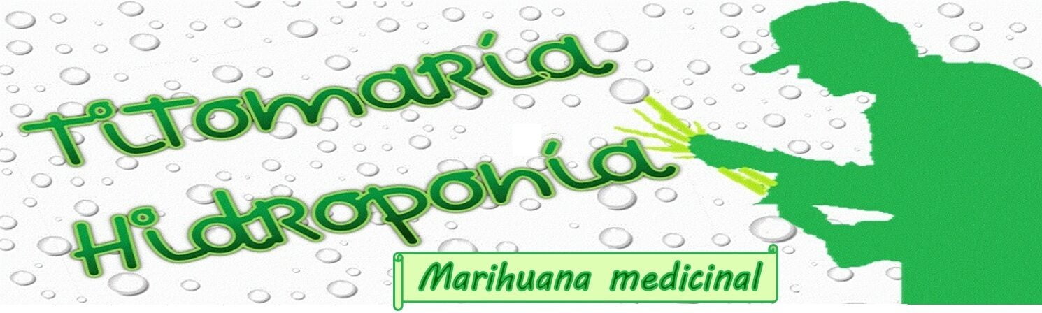 Cultivar marihuana medicinal
